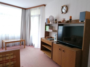 Schluchsee Ferienwohnung 1415